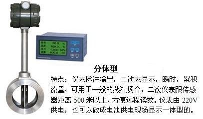 dn125渦街流量計(jì)分體型產(chǎn)品特點(diǎn)圖